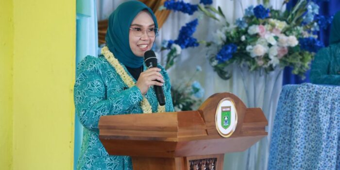 Ketua-TP-PKK-Tanah-Bumbu-dorong-PHBS-jadi-budaya-masyarakat-1024x683